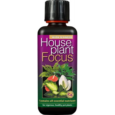 Houseplant Focus 300ml